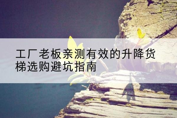 雷州升降货梯怎么选-工厂老板亲测有效的升降货梯选购避坑指南