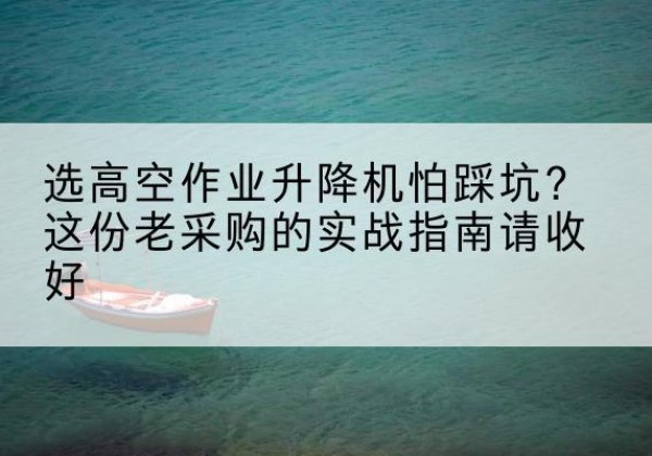 雷州高空作业升降机厂家推荐-选高空作业升降机怕踩坑？这份老采购的实战指南请收好