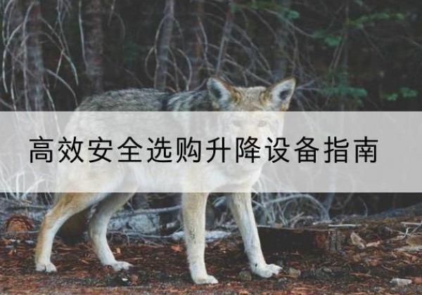 雷州升降货梯厂家推荐-*安全选购升降设备指南