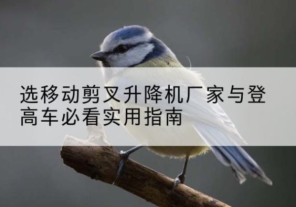 雷州电动升降机厂家-选移动剪叉升降机厂家与登高车必看实用指南