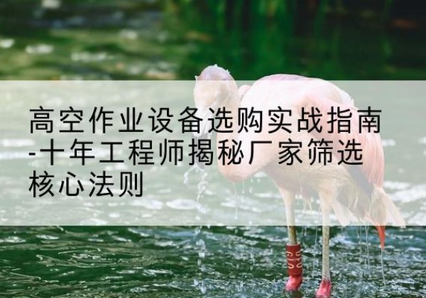 雷州剪叉式升降机厂家-高空作业设备选购实战指南-十年工程师揭秘厂家筛选核心法则