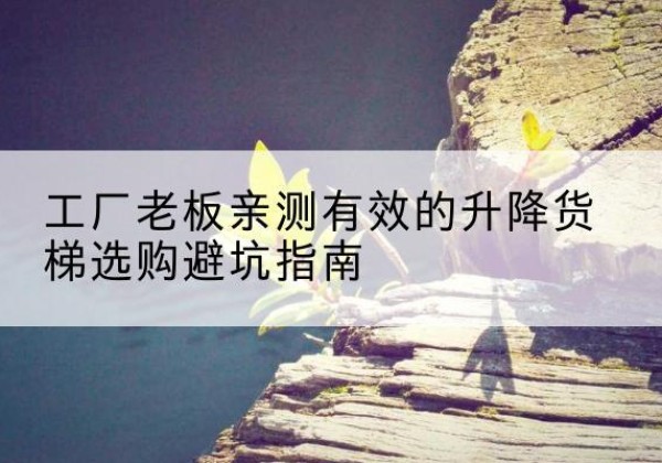 雷州升降货梯怎么选-工厂老板亲测有效的升降货梯选购避坑指南
